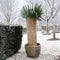 Nature - Winterbeschermingsmat - Rijststro - 1 x 1,5m - Biologisch