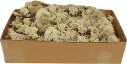 Naturel Rendiermos - Doos 500gr - My Village