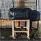 Still Nordic Clean XL Weekend Bag Brown