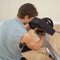 Body-Solid GPCB329B - Preacher Curl Bankje - Maximale bicepsisolatie - Zwart