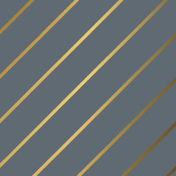 Apparaatrol Haza Chique Anthracite 125mx30cm