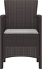 vidaXL - Tuinmeubels - met - Kussens - 4 - stuks - Bruin - Poly - Rieten