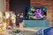 Samsung QLED Q60A - Ultra HD TV - 4K Resolutie - 43