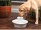 Petsafe Drinkwell Ceramic Avalon - Drinkfontein - 2 ltr - Wit
