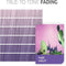 Semi-permanente kleurstof Wella Fresh Create Pure Violet (60 ml)