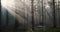 R-Go Tools Caparo - Enkele monitorarm - Gasveer - Bureaumount