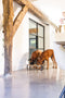 Designed by Lotte Karinto - Dinerset Hond - Hout/metaal - incl. 2 RVS bakjes - 56x28x18 cm