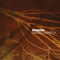 Ludovico Einaudi - Undiscovered Vol.2 - 2 LP - Inclusief solo-pianoversie van 'Experience' (2 stuks)
