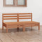 vidaXL - Tuinbank - 2-zits - massief - grenenhout - honingbruin