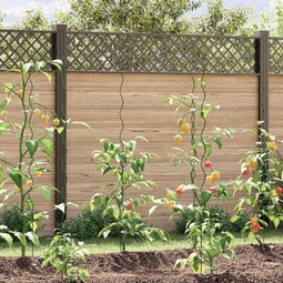 vidaXL - Spiraal - Plantsteunen - 5 - stuks - 150 - cm - Staal