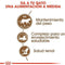 Royal Canin Ageing Sterilised 12+ - Kattenvoer - 2 kg