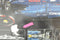 LEGO Oracle Red Bull Racing RB20 F1 - Technic model - V6-motor met bewegende zuigers - Blauw Geel Rood Zwart
