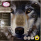 Crystal Art Kit | Diamond Painting Wolf