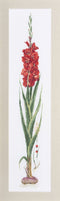 Thea Gouverneur - Borduurpakket met telpatroon - 3073A - Voorgesorteerde DMC Garens - Rode Gladiolen - Aida - 20 cm x 88 cm - DIY Kit