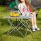 Woltu Picknicktafel Campingtafel Opvouwbaar - Aluminium Zilver - 56x46x40 cm
