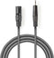 Nedis Gebalanceerde Audiokabel - XLR 3-Pins Male - 3,5 mm Male - Vernikkeld - 3.00 m - Rond - PVC - Donkergrijs - Kartonnen Sleeve