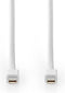 Nedis Mini DisplayPort-Kabel - DisplayPort 1.4 - Mini-DisplayPort Male - Mini-DisplayPort Male - 48 Gbps - Vernikkeld - 2.00 m - Rond - PVC - Wit - Blister