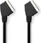 Nedis SCART-Kabel - SCART Male - SCART Male - Vernikkeld - 480p - 2.00 m - Rond - PVC - Zwart - Doos
