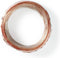 Nedis Speaker-Kabel - 2 x 0.75 mm² - CCA - 15.0 m - Rond - PVC - Transparant - Folieverpakking