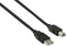 Nedis USB-Kabel - USB 2.0 - USB-A Male - USB-B Male - 10 W - 480 Mbps - Vernikkeld - 5.00 m - Rond - PVC - Zwart - Label