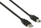 Nedis USB-Kabel - USB 2.0 - USB-A Male - USB-B Male - 10 W - 480 Mbps - Vernikkeld - 5.00 m - Rond - PVC - Zwart - Envelop