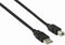 Nedis USB-Kabel - USB 2.0 - USB-A Male - USB-B Male - 480 Mbps - Vernikkeld - 3.00 m - Rond - PVC - Zwart - Doos