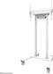 Neomounts FL55-875WH1 gemotoriseerde TV vloerstandaard - 55-100
