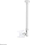 Neomounts FPMA-C100WHITE TV plafondbeugel - t/m 30