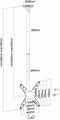 Neomounts FPMA-C340BLACK TV plafondbeugel - t/m 75