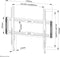 Neomounts WL30-550BL16 TV muurbeugel - vast - 40-75