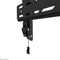Neomounts WL35S-850BL12 TV muurbeugel - kantelbaar - 24-55