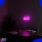 Neon Lamp - Chill Roze - Incl. Ophanghaakjes - Neon Sign - Neon Verlichting - Neon Led Lamp - Wandlamp