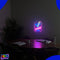 Neon Lamp - Cocktails - Incl. Ophanghaakjes - Neon Sign - Neon Verlichting - Neon Led Lamp - Wandlamp