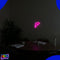 Neon Lamp - Dolfijn Roze - Incl. 3 Batterijen - Neon Verlichting - Neon Led Lamp - Neon Wandlamp