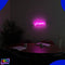 Neon Lamp - Dream Roze - Incl. Ophanghaakjes - Neon Sign - Neon Verlichting - Neon Led Lamp - Wandlamp