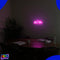 Neon Lamp - Hartslag Roze - Incl. Ophanghaakjes - Neon Sign - Neon Verlichting - Neon Led Lamp - Wandlamp