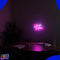 Neon Lamp - Hello Gorgeous - Incl. Ophanghaakjes - Neon Sign - Neon Verlichting - Neon Led Lamp - Wandlamp