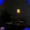Neon Lamp - Kat Warm Wit - Incl. 3 Batterijen - Neon Verlichting - Neon Led Lamp - Neon Wandlamp