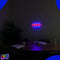 Neon Lamp - Open - Incl. Ophanghaakjes - Neon Sign - Neon Verlichting - Neon Led Lamp - Wandlamp