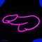 Neon Lamp - Piemel - Incl. Ophanghaakjes - Neon Sign - Neon Verlichting - Neon Led Lamp - Wandlamp