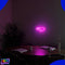 Neon Lamp - Piemel - Incl. Ophanghaakjes - Neon Sign - Neon Verlichting - Neon Led Lamp - Wandlamp