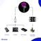 Neon Lamp - Roos - Incl. 3 Batterijen - Neon Verlichting - Neon Led Lamp - Neon Wandlamp