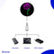 Neon Lamp - Roos - Incl. Ophanghaakjes - Neon Sign - Neon Verlichting - Neon Led Lamp - Wandlamp