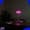 Neon Lamp - XOXO Roze - Incl. 3 Batterijen - Neon Verlichting - Neon Led Lamp - Neon Wandlamp
