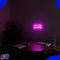 Neon Lamp - You Are Amazing Roze - Incl. Ophanghaakjes - Neon Sign - Neon Verlichting - Neon Led Lamp - Wandlamp