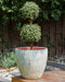 NERTERA - Bloempot - Groen - ⌀ 51 cm - Terracotta