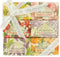 Nesti Dante Romantica Zeepset Set 6 x 150 gr.
