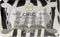 NESTI DANTE ZEEP CHIC WHITE
