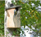 Nestkast Vogelhuisje - Curve Simon King
