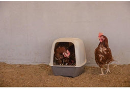 Nestkast voor kippen - KERBL - 52 x 39 x 39 cm